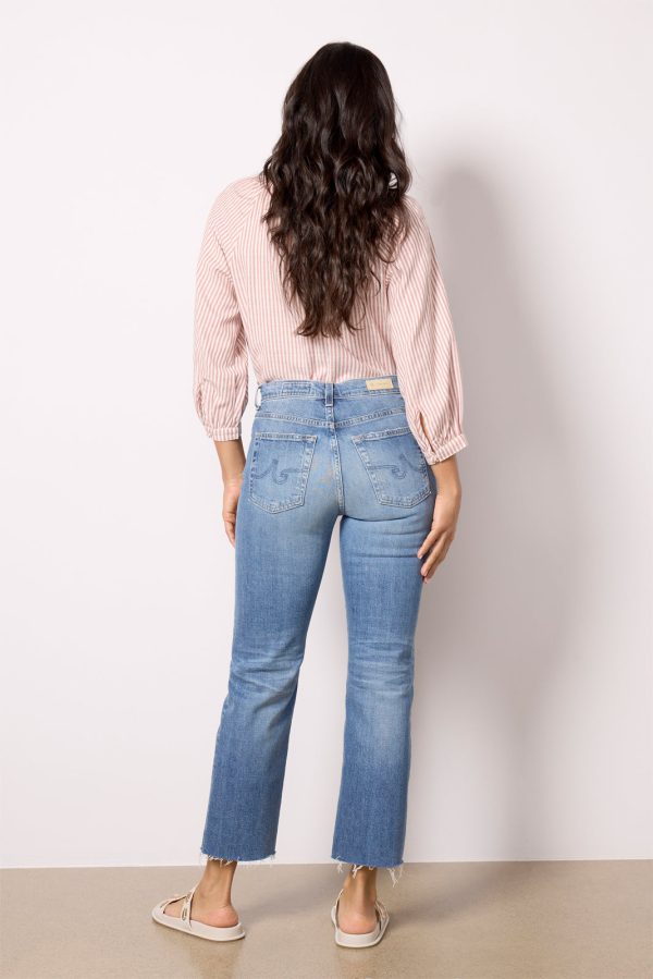 Brinley Crop - Image 4