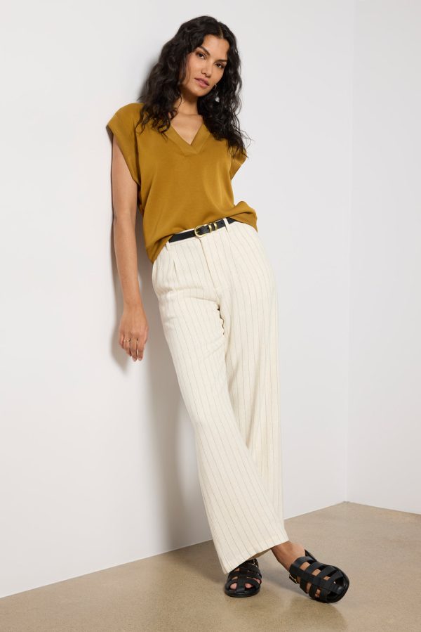 Bennett Pinstripe Pant - Image 5