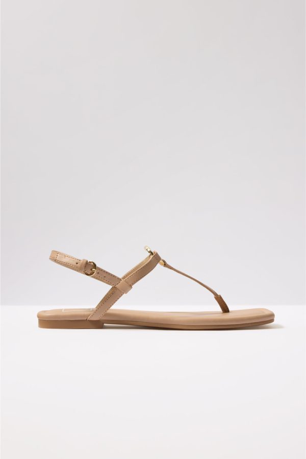 Lorene T Strap - Image 4