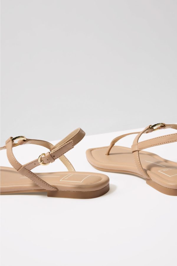 Lorene T Strap - Image 3