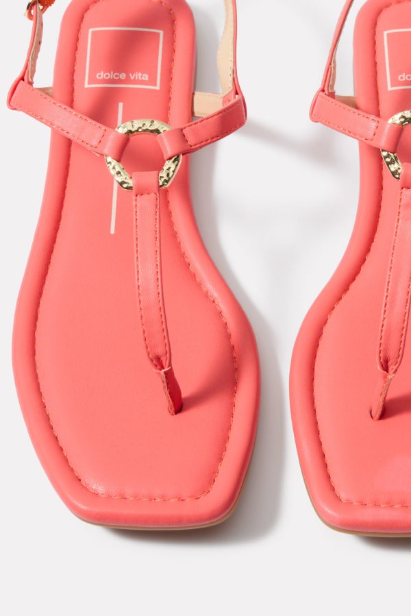 Lorene T Strap - Image 2