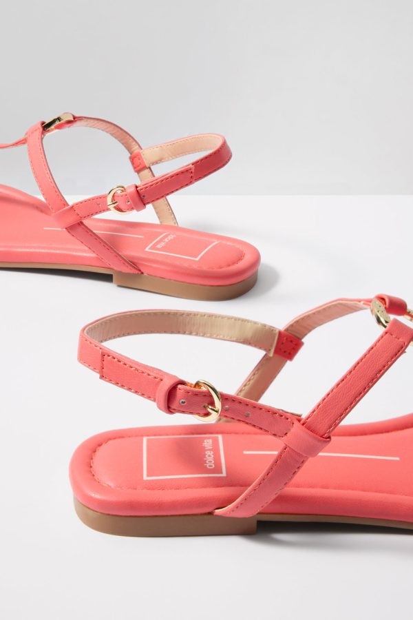 Lorene T Strap - Image 3