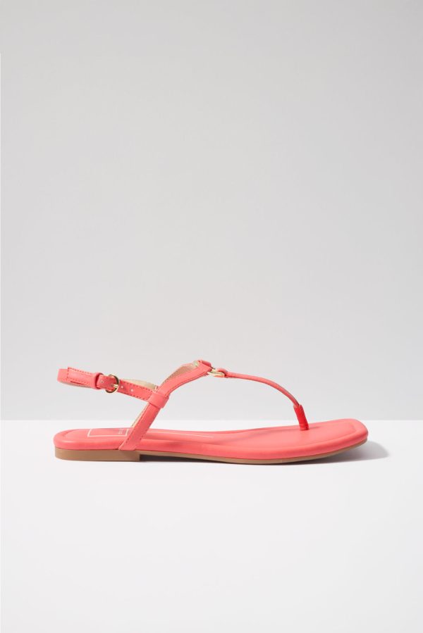 Lorene T Strap - Image 4