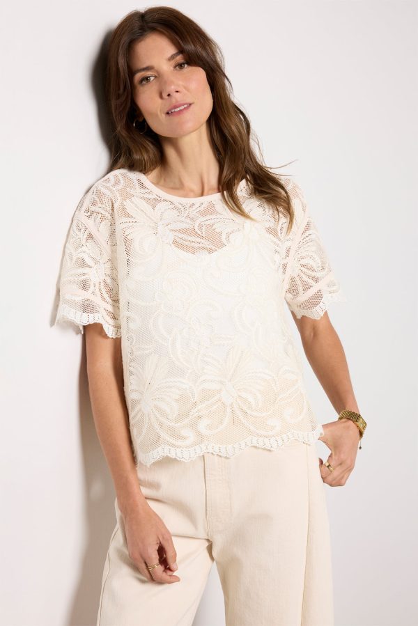 Lily Lace Dolman Sleeve Tee - Image 5