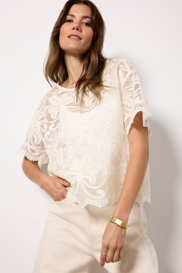 Lily Lace Dolman Sleeve Tee - Image 2