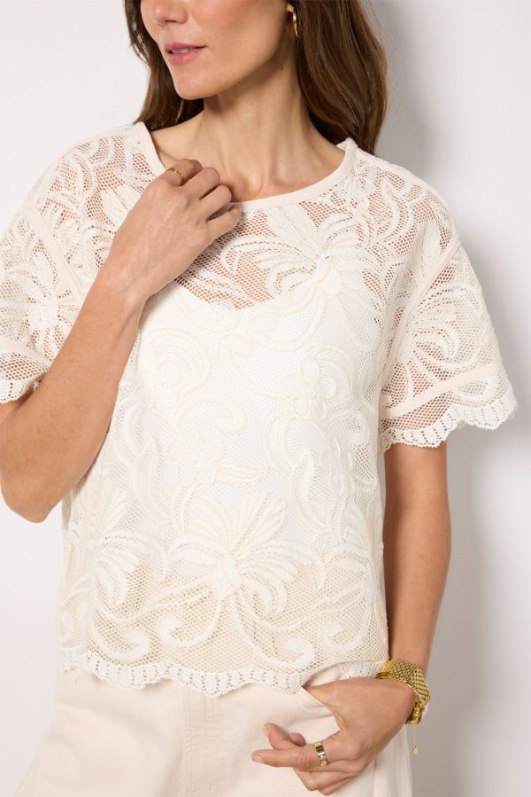 Lily Lace Dolman Sleeve Tee - Image 3