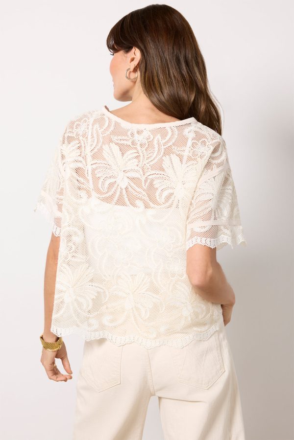 Lily Lace Dolman Sleeve Tee - Image 4