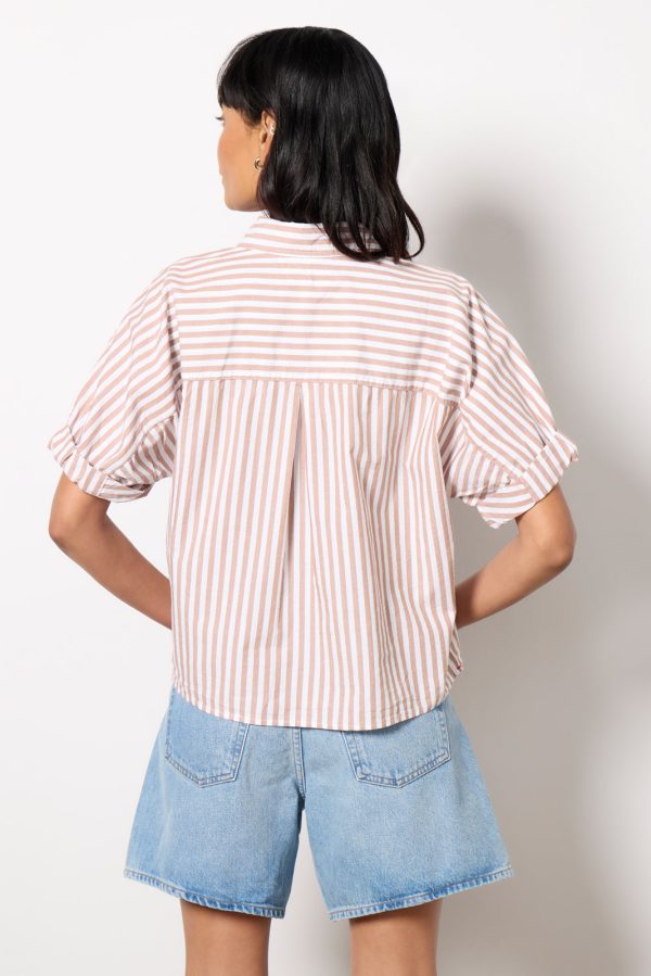 Teddy Shirt - Image 4