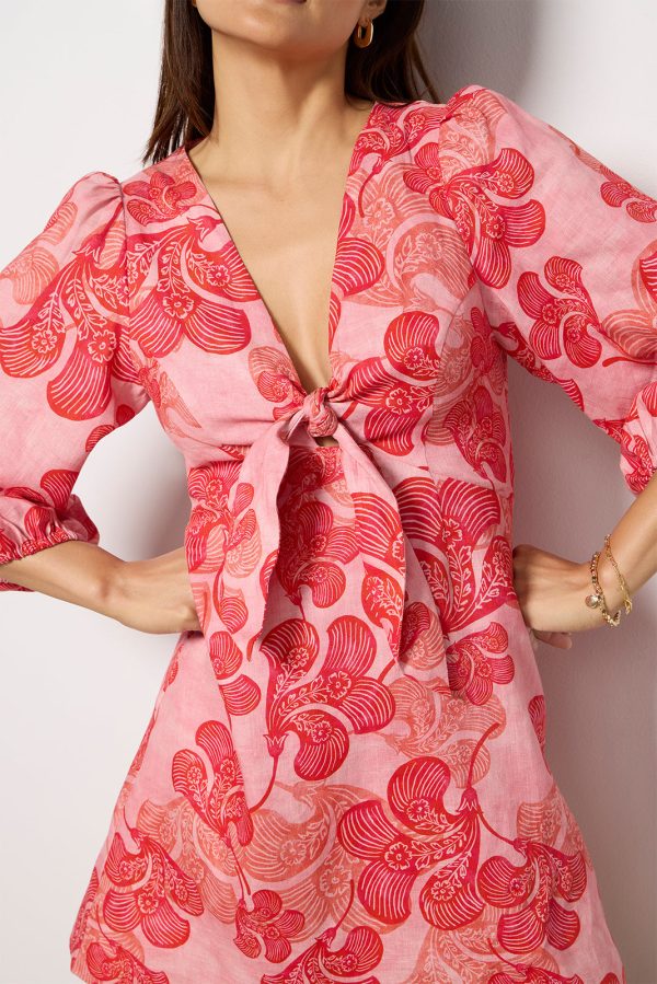 Riviera Mini Dress - Image 3