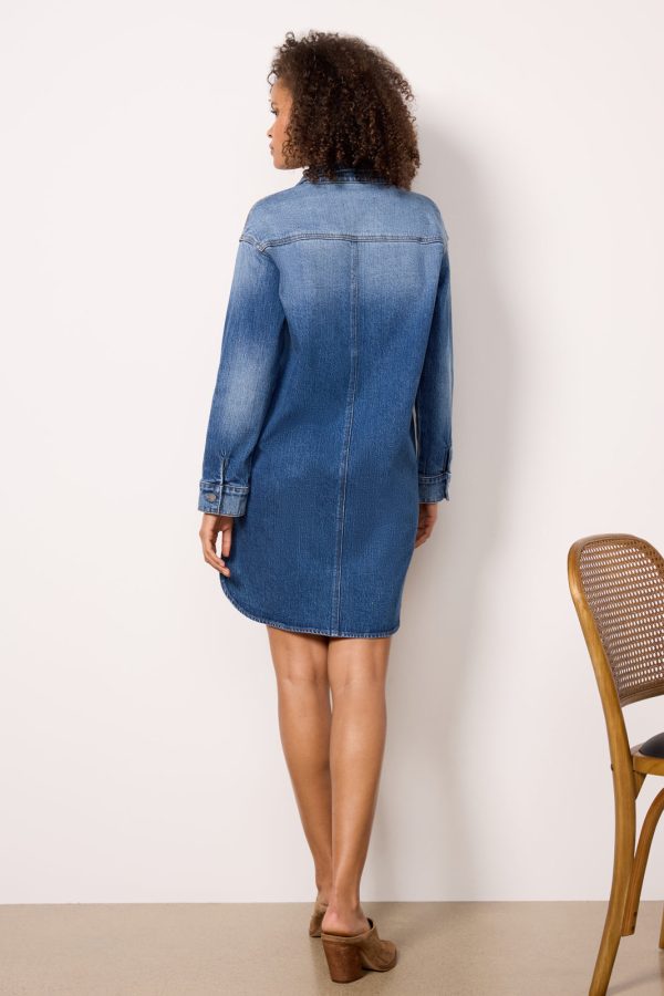 Ever Denim Dress - Image 4
