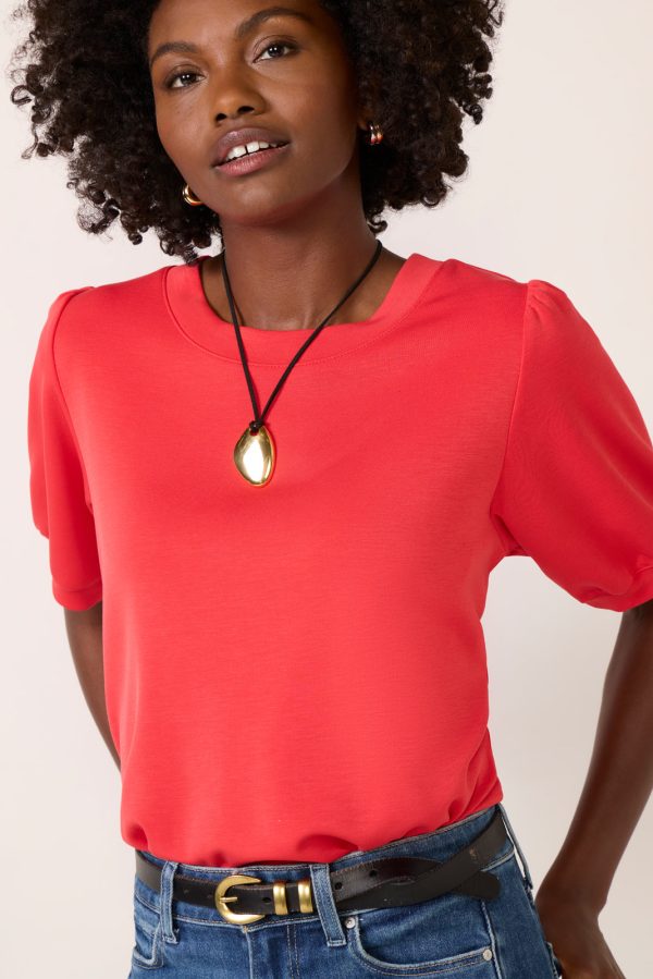 Lainey Scuba Short Sleeve - Image 3