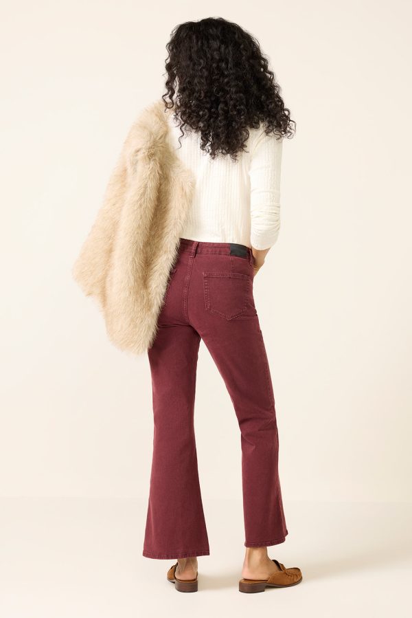 Marlow Skimmer Bootcut Pant - Image 4