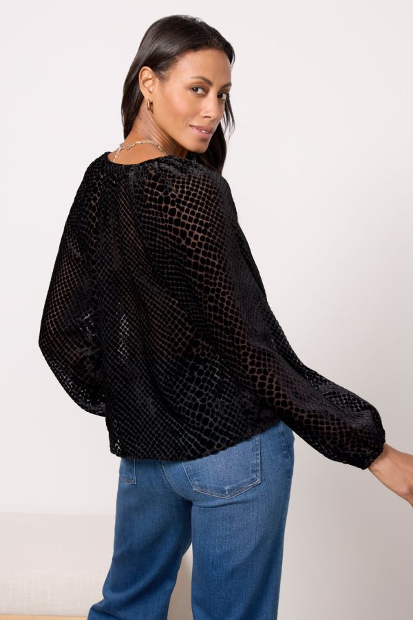 Arlo Velvet Burnout Top - Image 4