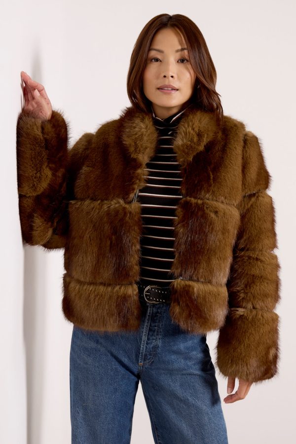 Sai Mink Short Coat - Image 5