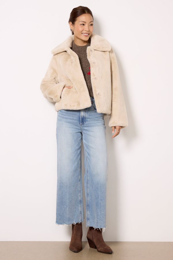 Elis Short Coat - Image 5