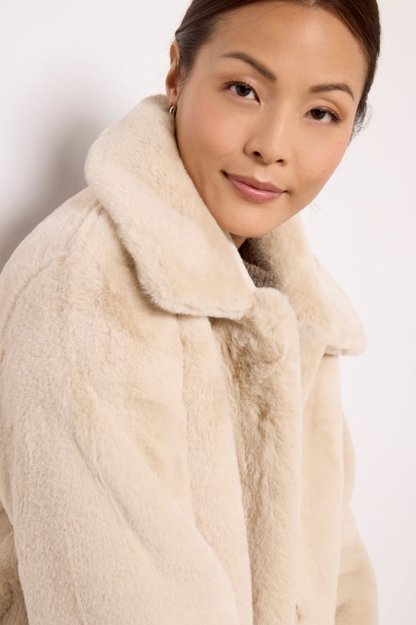 Elis Short Coat - Image 3