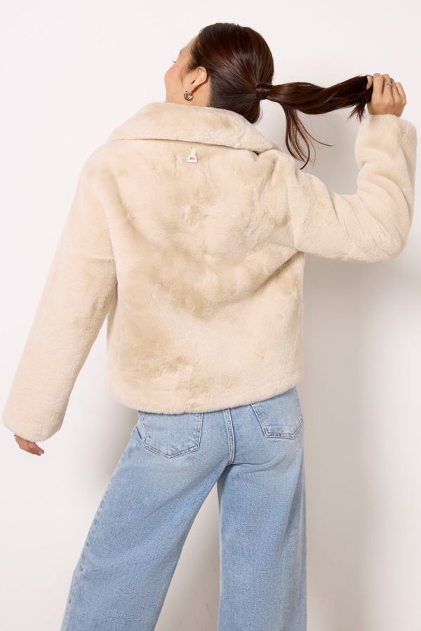 Elis Short Coat - Image 4