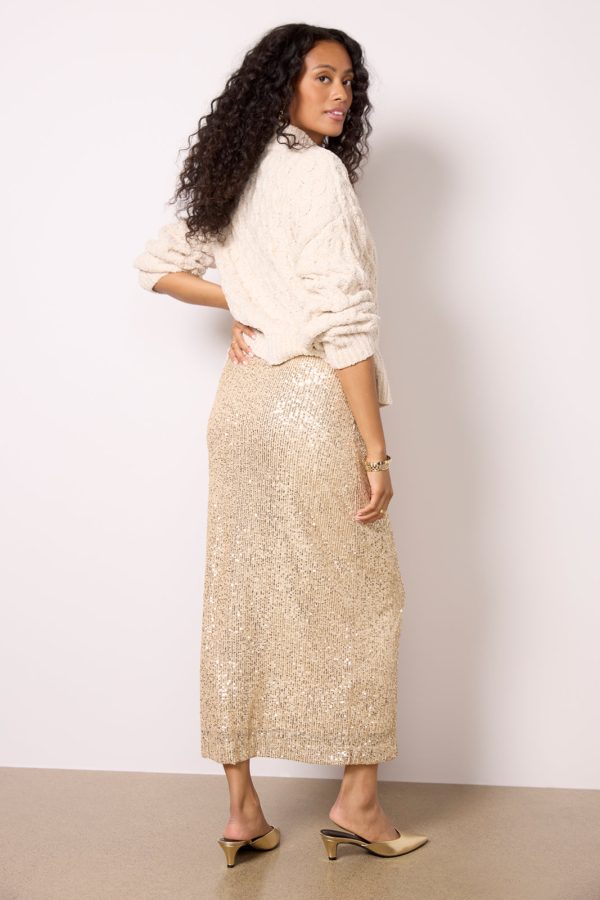 Saturn Sequin skirt - Image 4