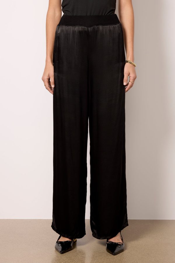 Cyrus Pant - Image 6