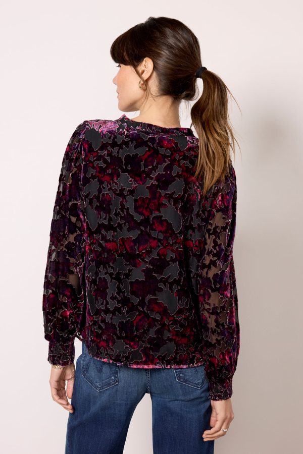 Jesse Burnout Velvet Blouse - Image 4